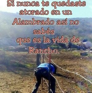 Meet your Posher, Angel noe